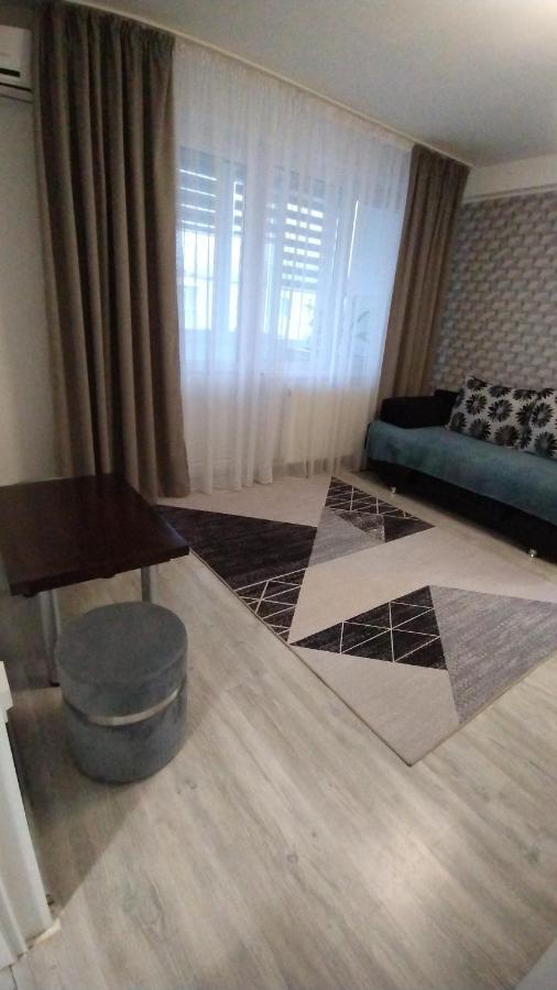 Ana Apartament Râmnicu Vâlcea Exterior foto